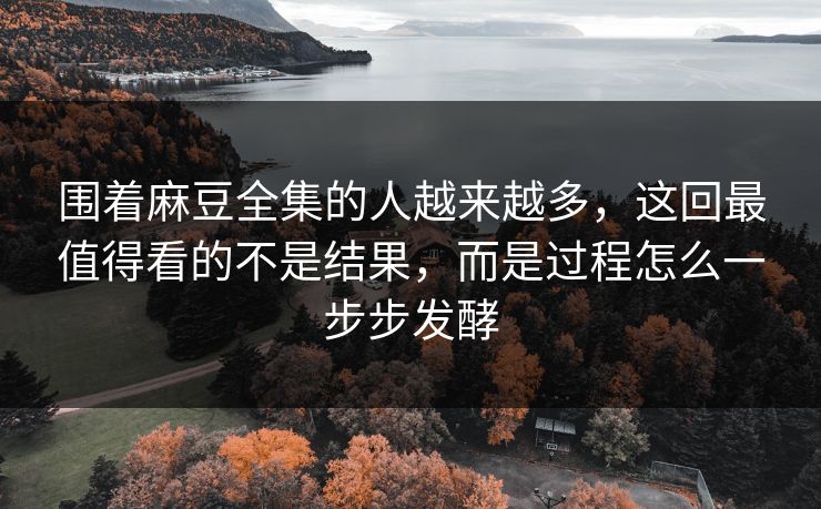 围着麻豆全集的人越来越多，这回最值得看的不是结果，而是过程怎么一步步发酵