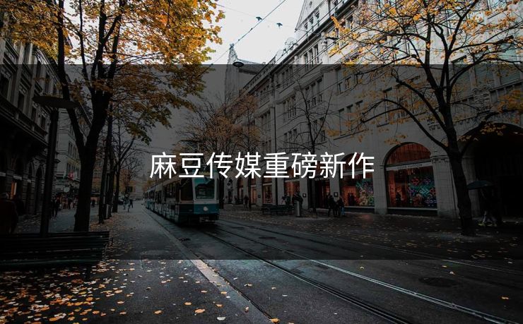 麻豆传媒重磅新作