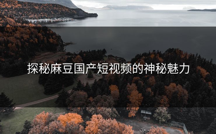 探秘麻豆国产短视频的神秘魅力