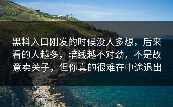 黑料入口刚发的时候没人多想，后来看的人越多，暗线越不对劲，不是故意卖关子，但你真的很难在中途退出