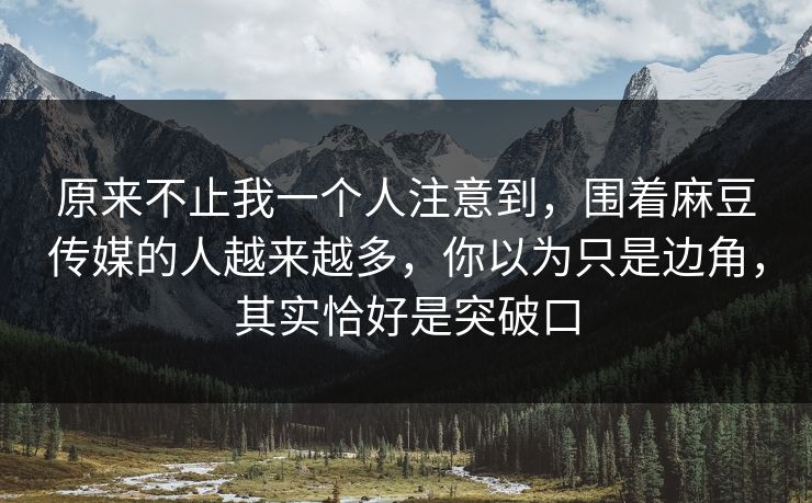 原来不止我一个人注意到，围着麻豆传媒的人越来越多，你以为只是边角，其实恰好是突破口
