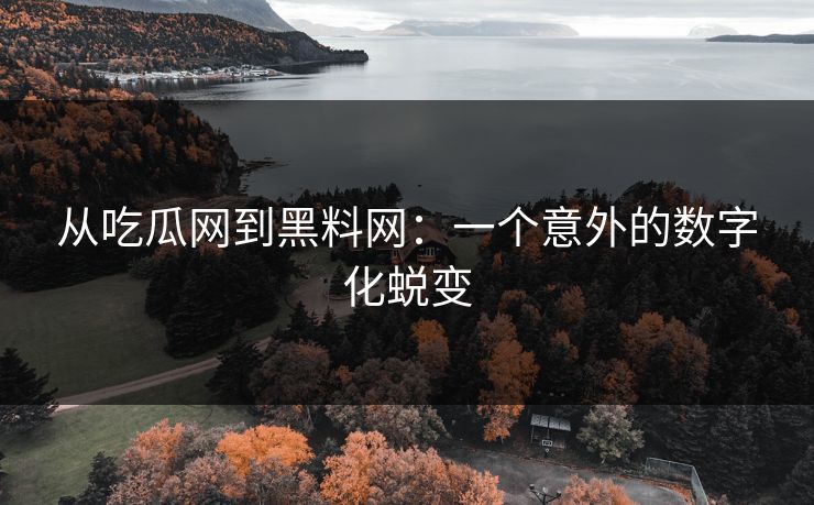 从吃瓜网到黑料网：一个意外的数字化蜕变