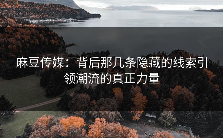 麻豆传媒：背后那几条隐藏的线索引领潮流的真正力量