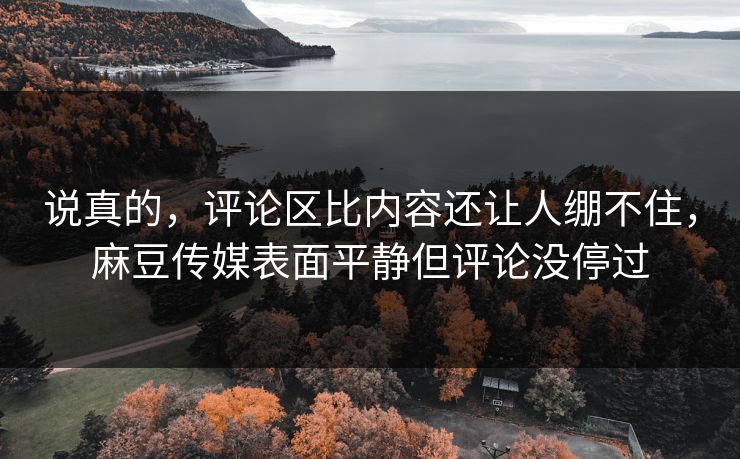说真的，评论区比内容还让人绷不住，麻豆传媒表面平静但评论没停过