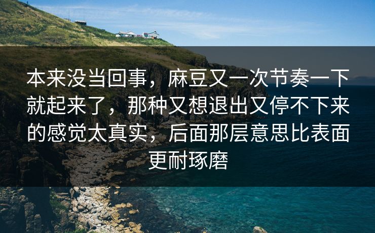 本来没当回事，麻豆又一次节奏一下就起来了，那种又想退出又停不下来的感觉太真实，后面那层意思比表面更耐琢磨