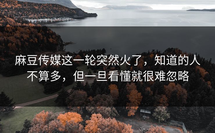麻豆传媒这一轮突然火了，知道的人不算多，但一旦看懂就很难忽略