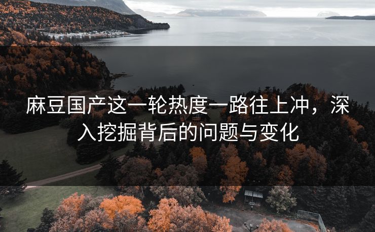 麻豆国产这一轮热度一路往上冲，深入挖掘背后的问题与变化
