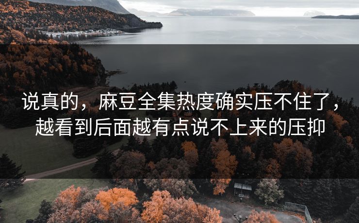 说真的，麻豆全集热度确实压不住了，越看到后面越有点说不上来的压抑